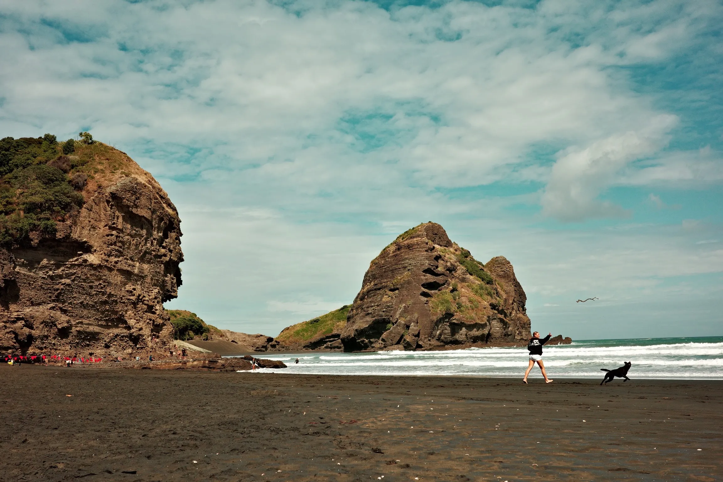 Photo of a personal throwing a stick for their dog on Piha beach