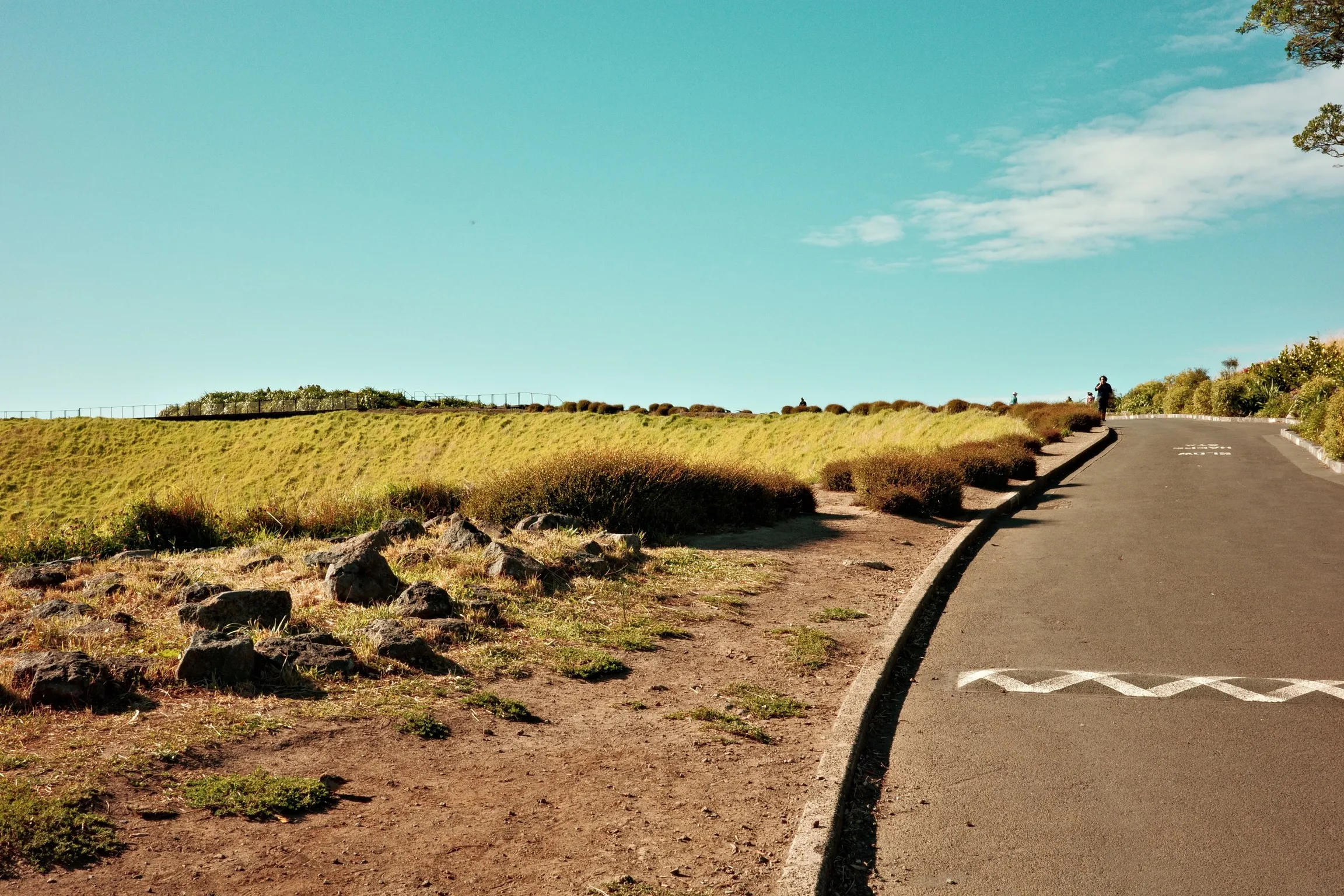 Photo of road up to Mount Eden