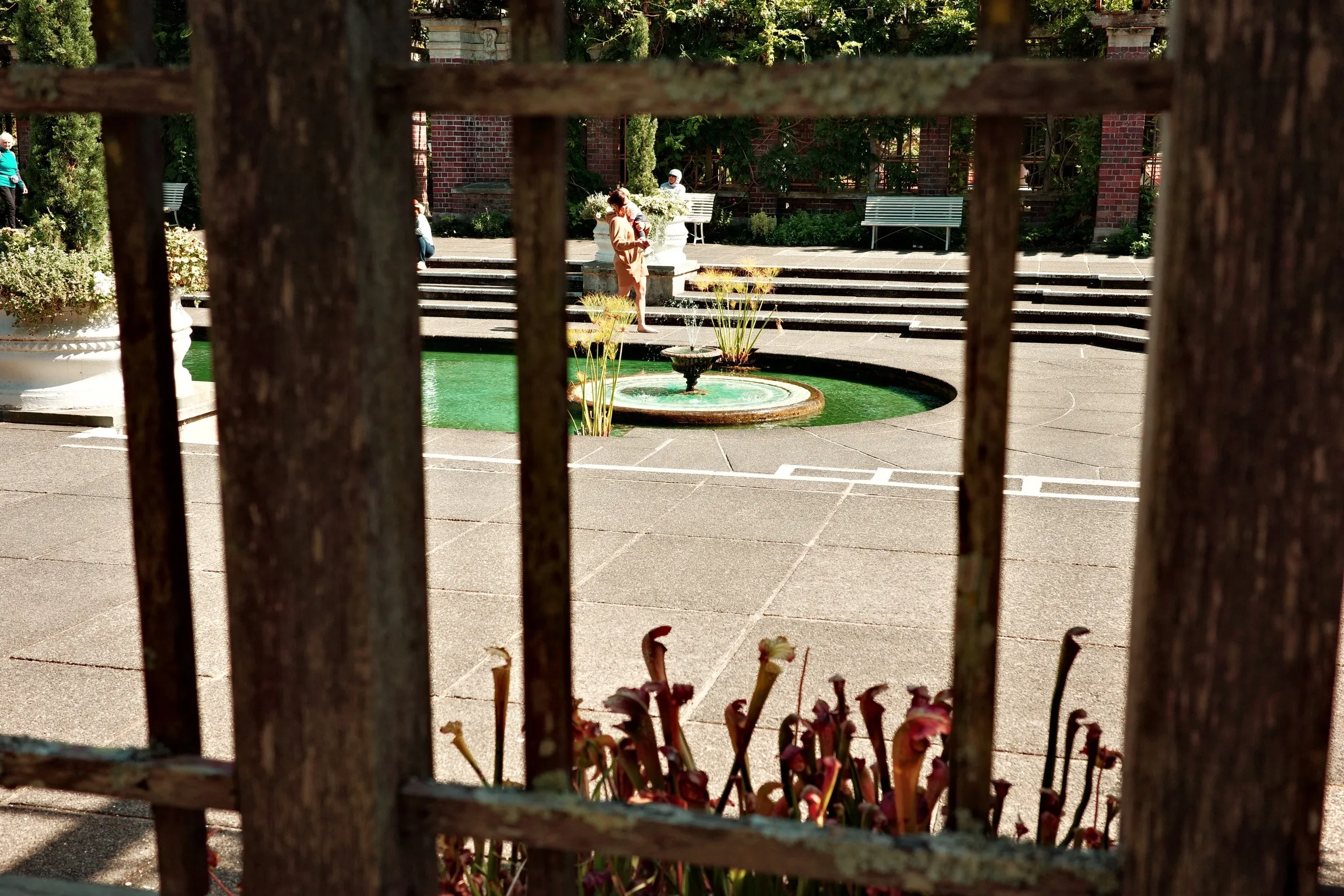 Photo of a water fountain in Domain Wintergardens, Auckland