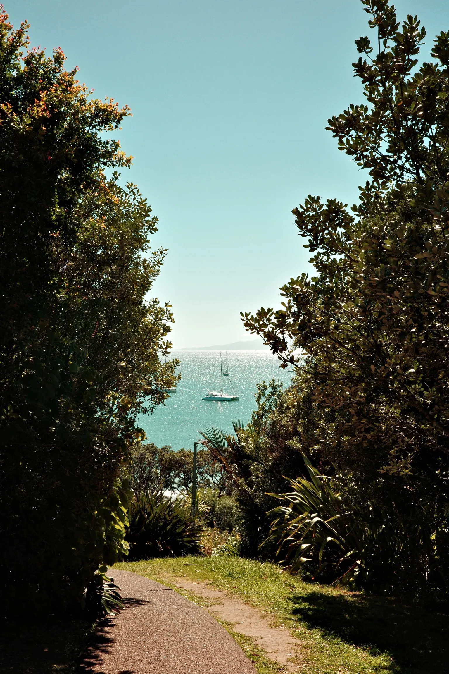 Photo of a boat between two trees