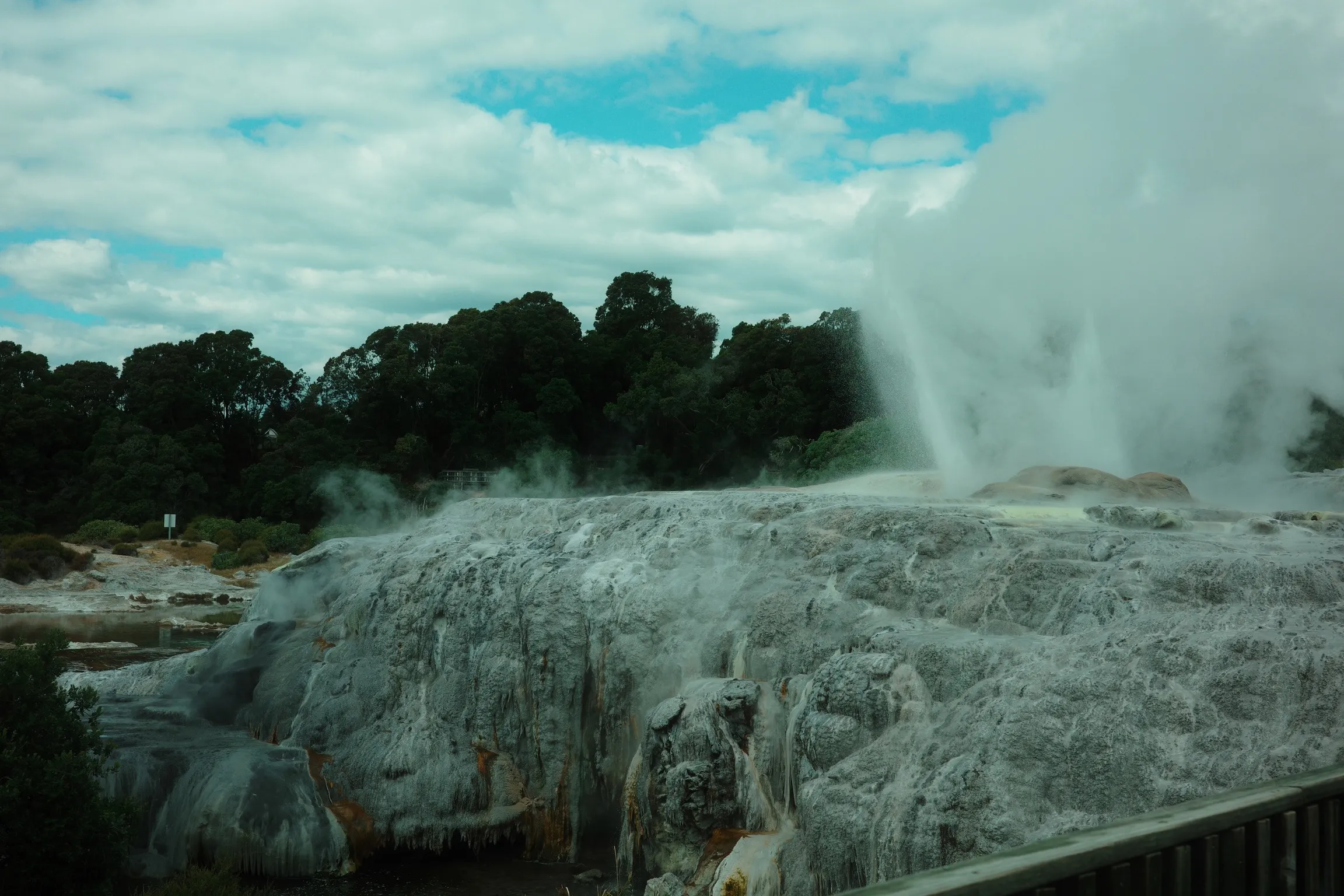 Photo of Geyser at Te Puia 