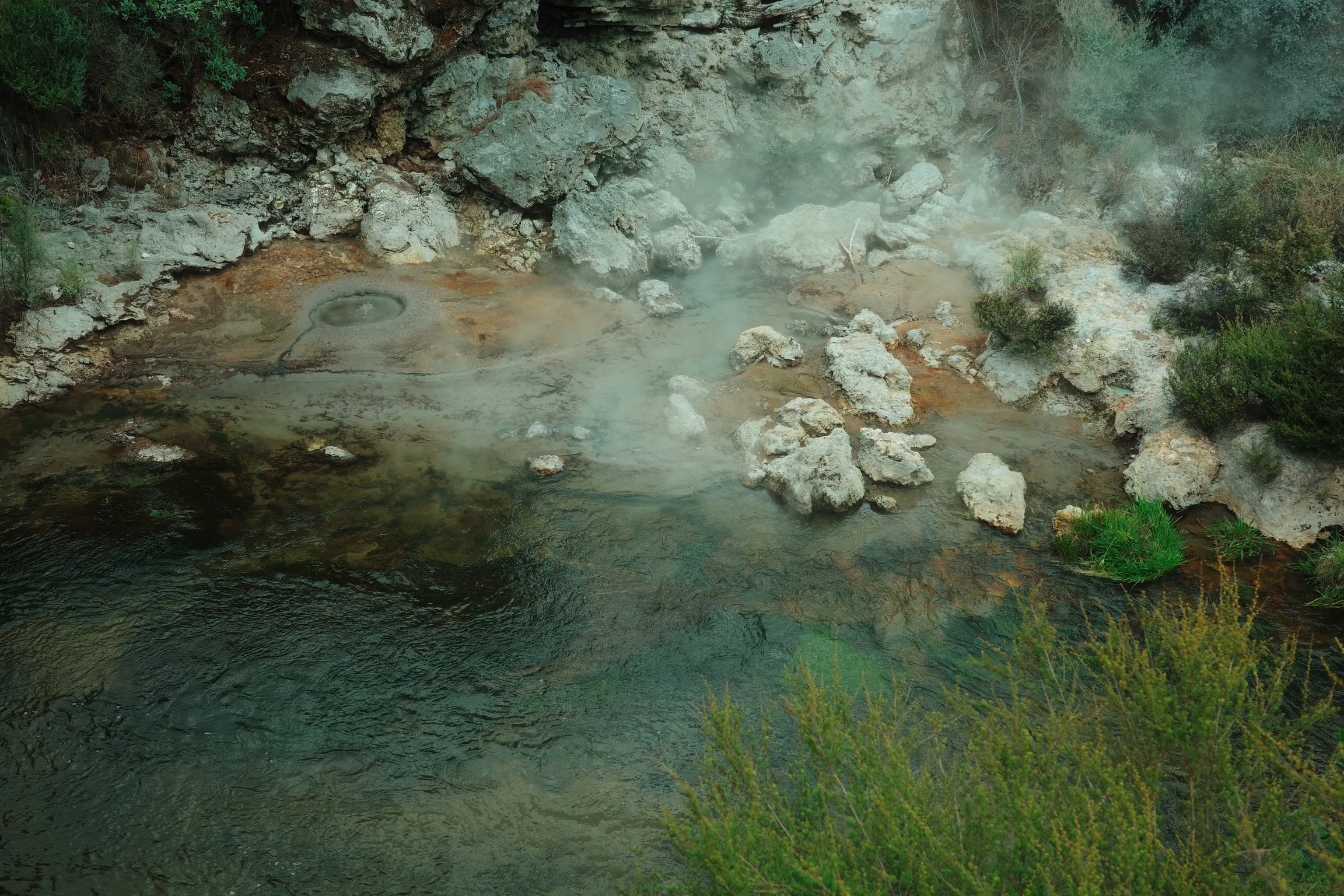 Photo of geothermal hot springs at Te Puia
