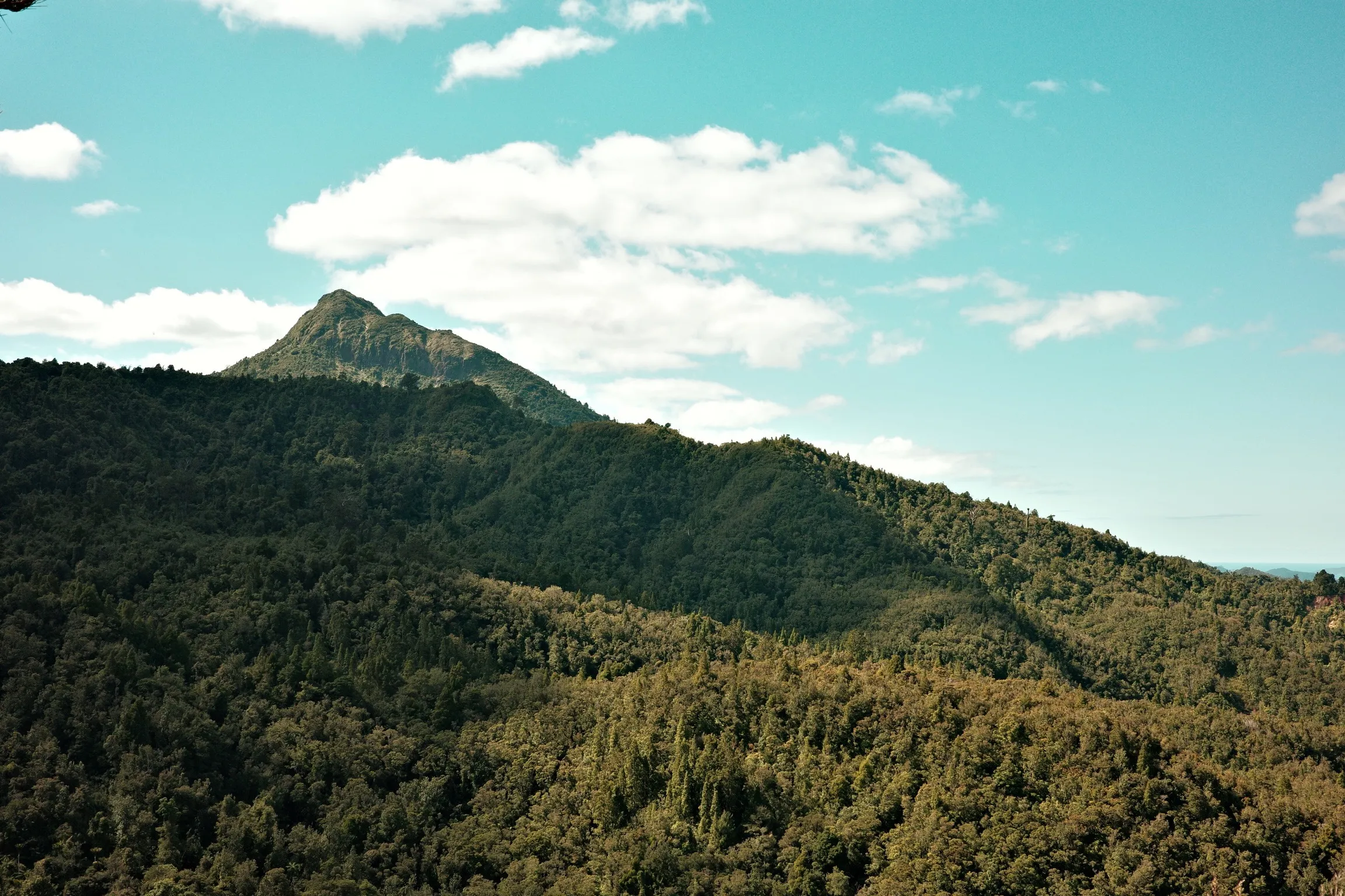 Photo of mountains on the way to Flaxmill Bay