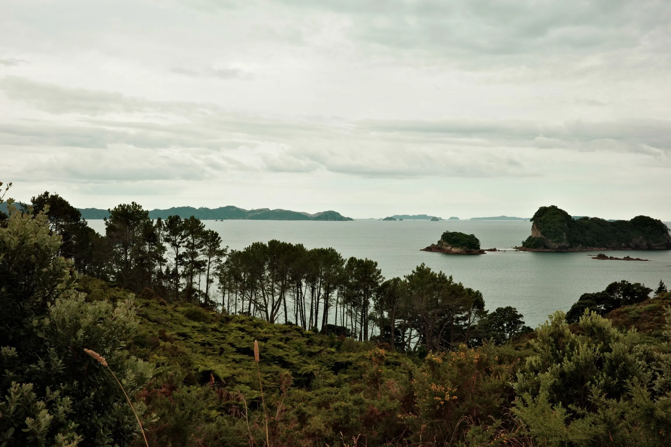 Photo of vista from walk to Cathedral Cove