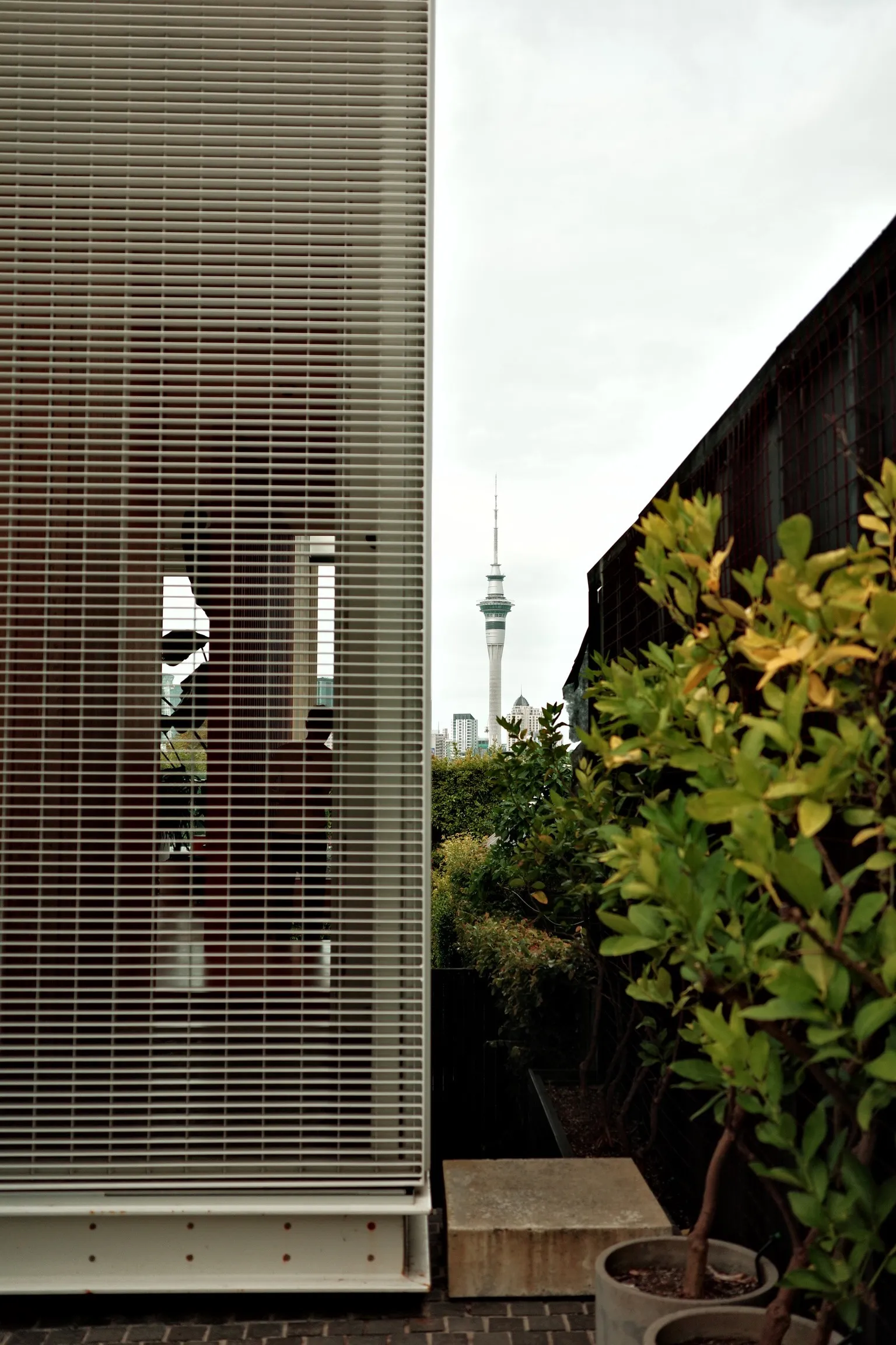 Photo of Auckland Sky Tower