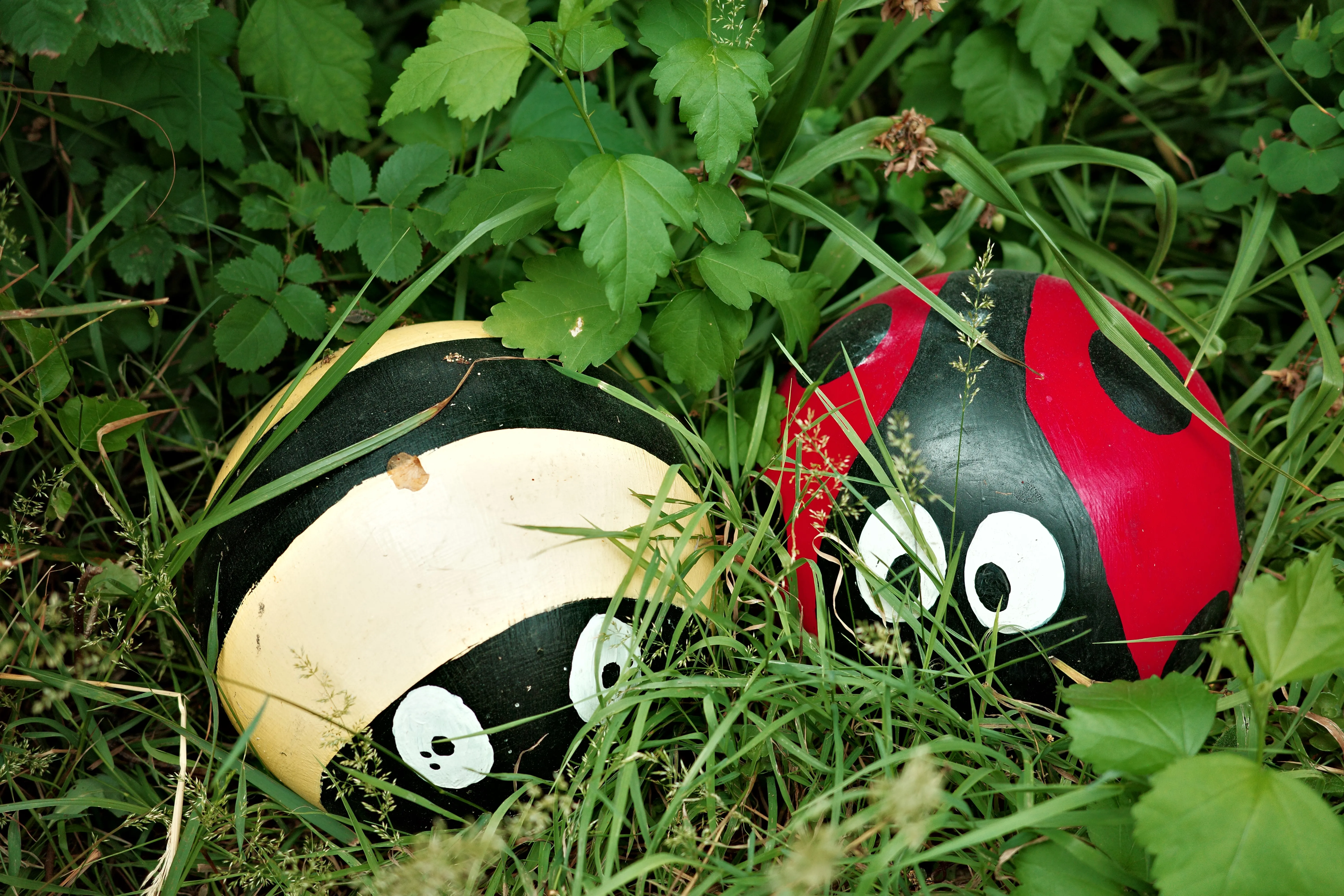 Photo of two round rocks painted as a bee and ladybug