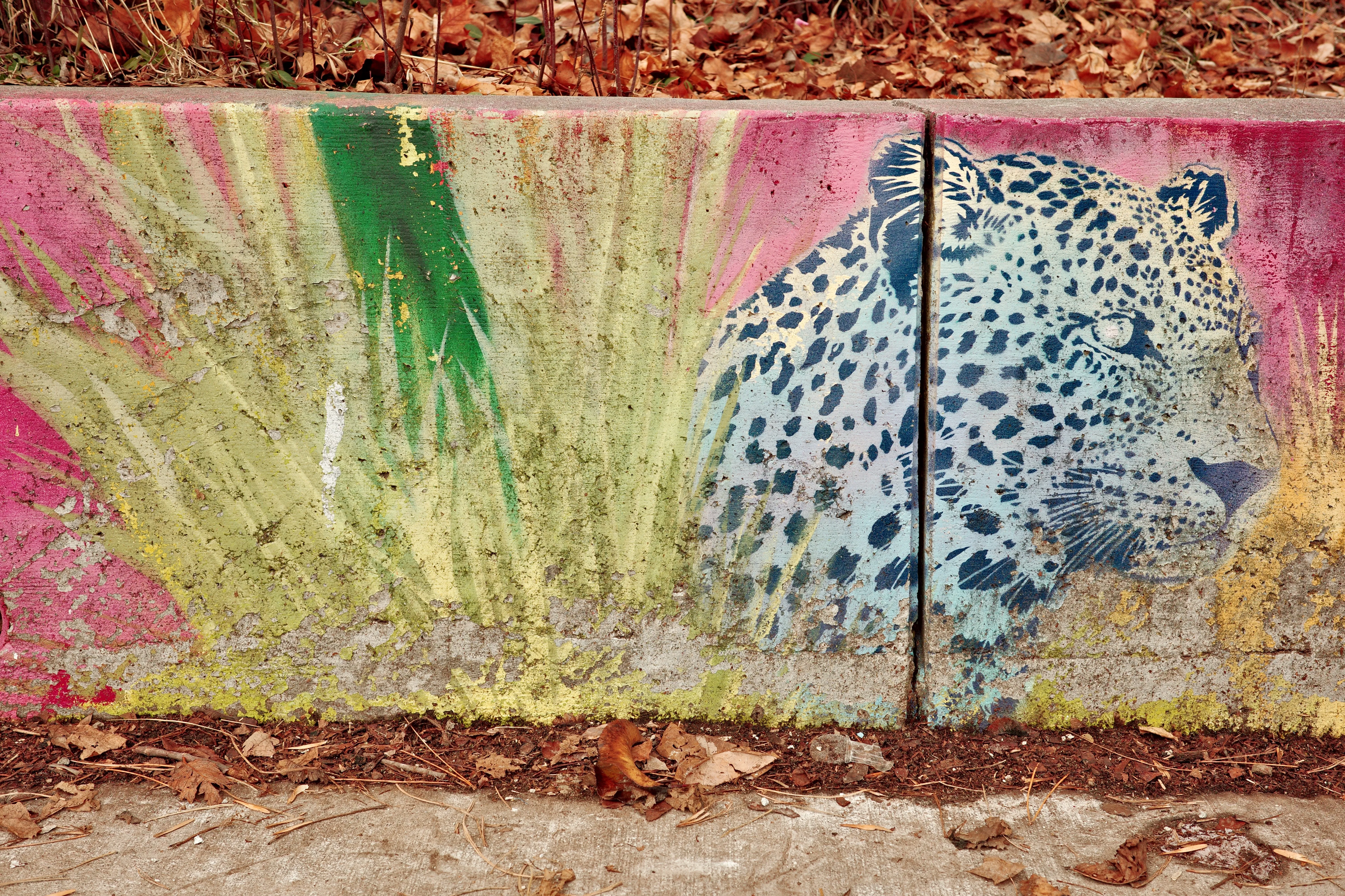 Photo of a mural of a Leopard