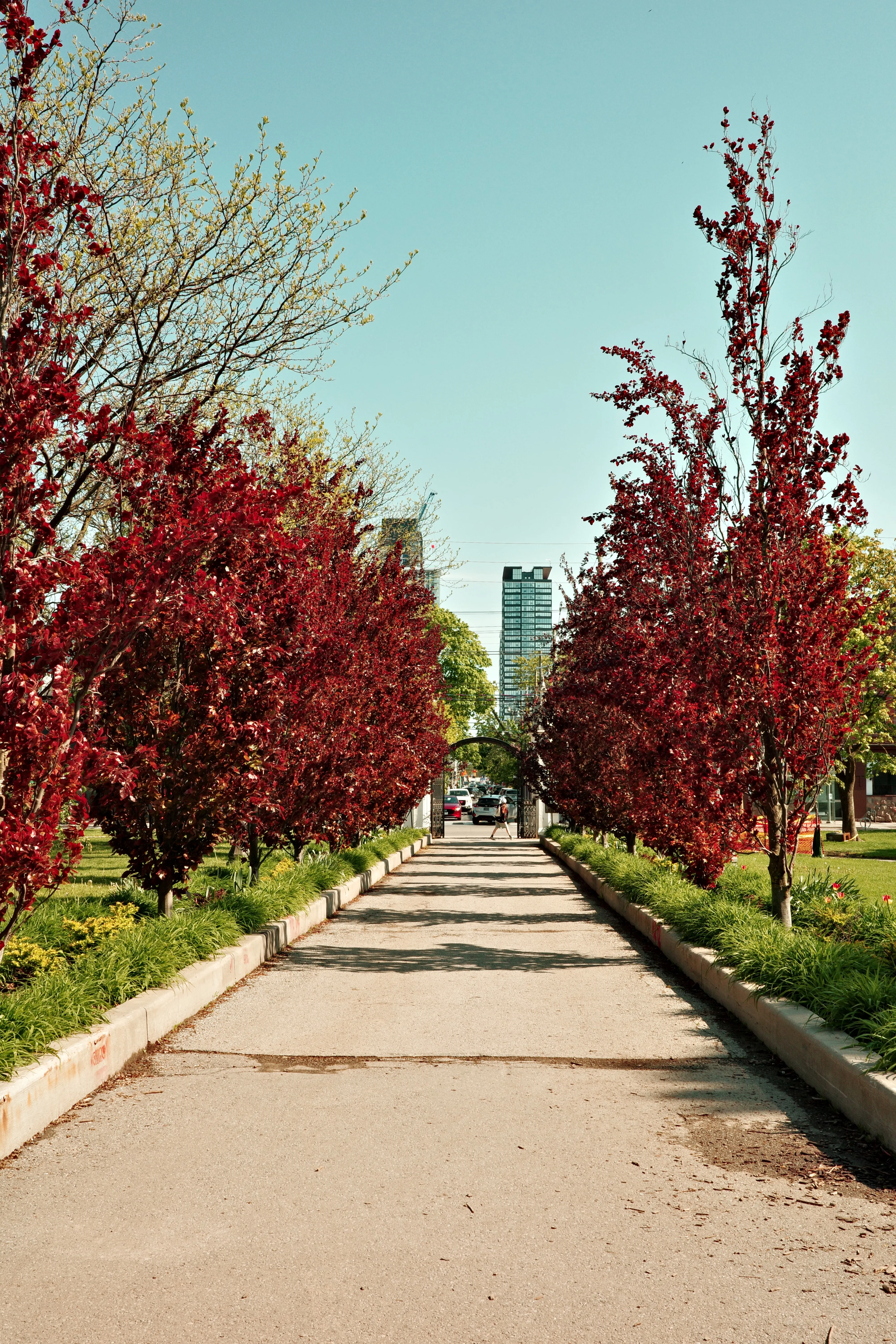 Photo of gate at Trinity Bellwoods