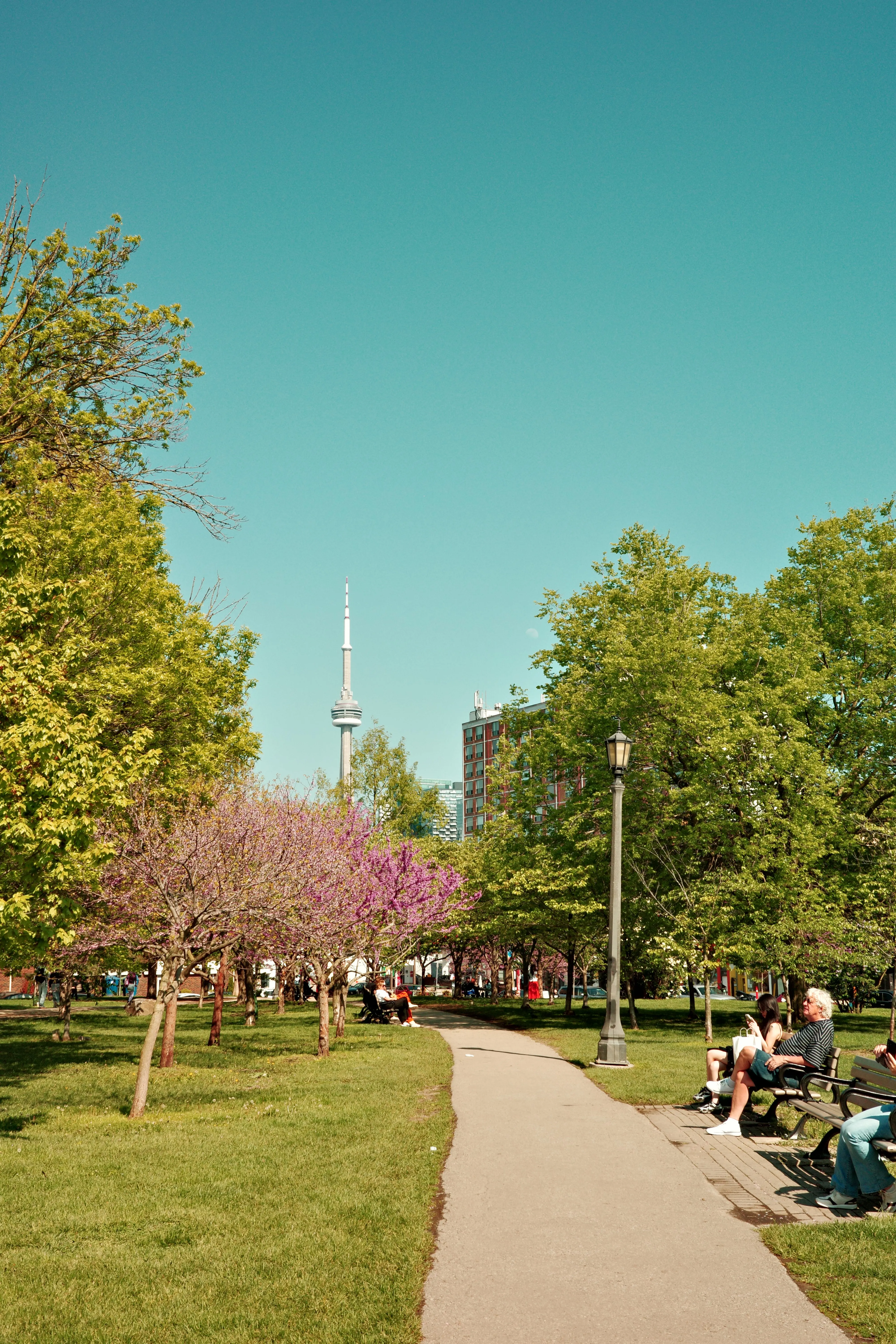 Photo of CN Tower from Trinity Bellwoods
