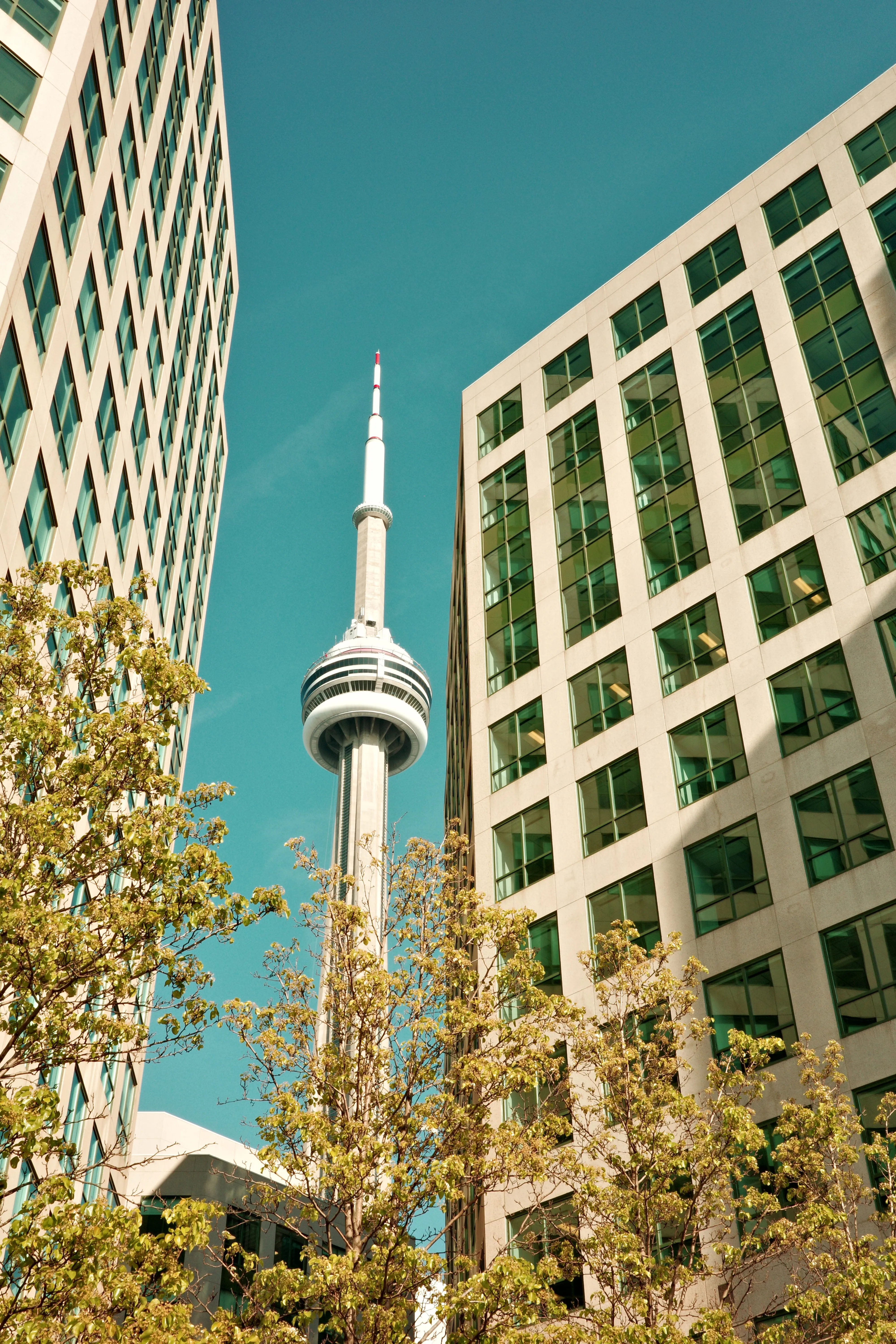 Photo of CN Tower between some buildings