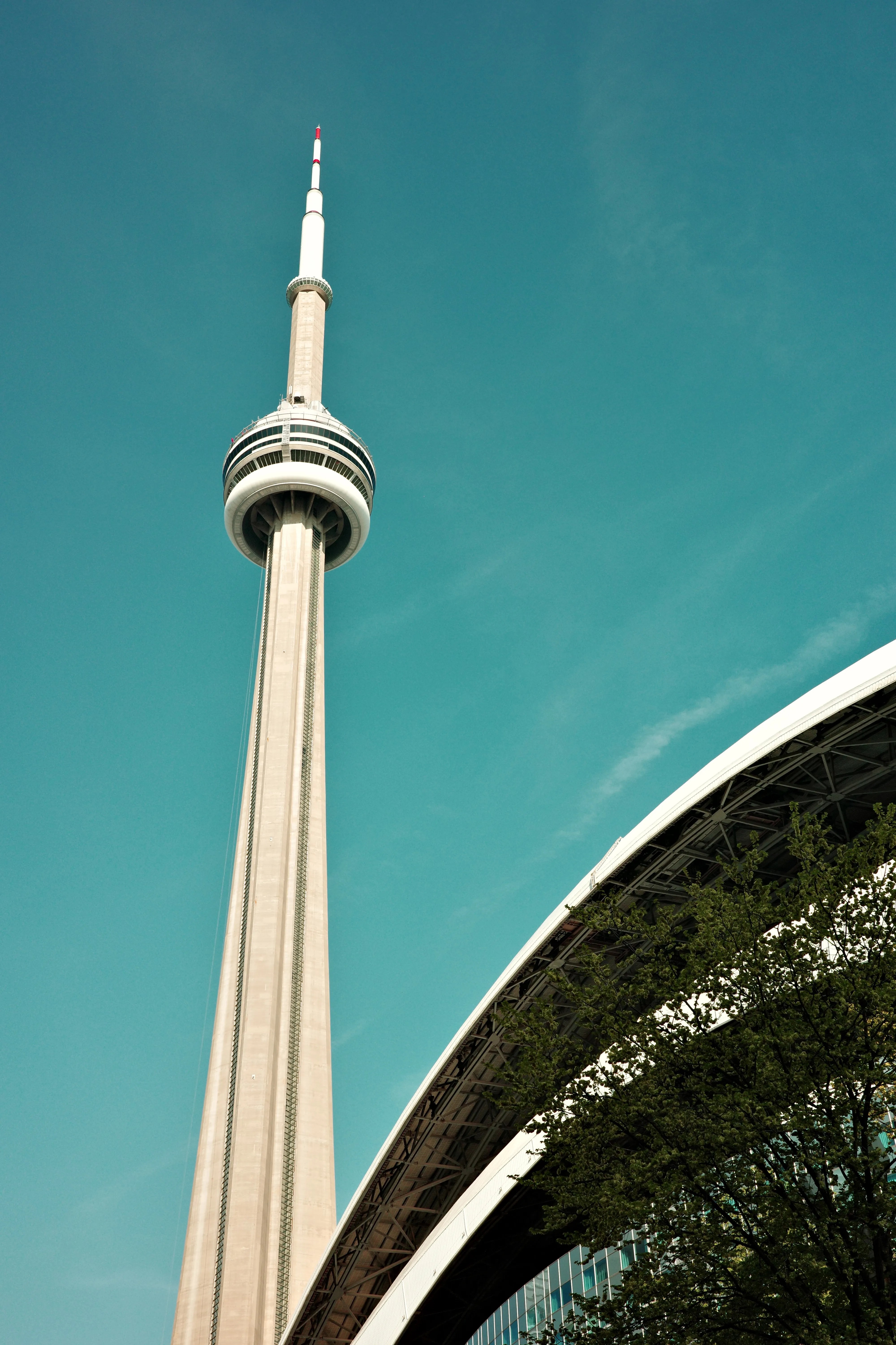 Photo of CN Tower from the Skydome