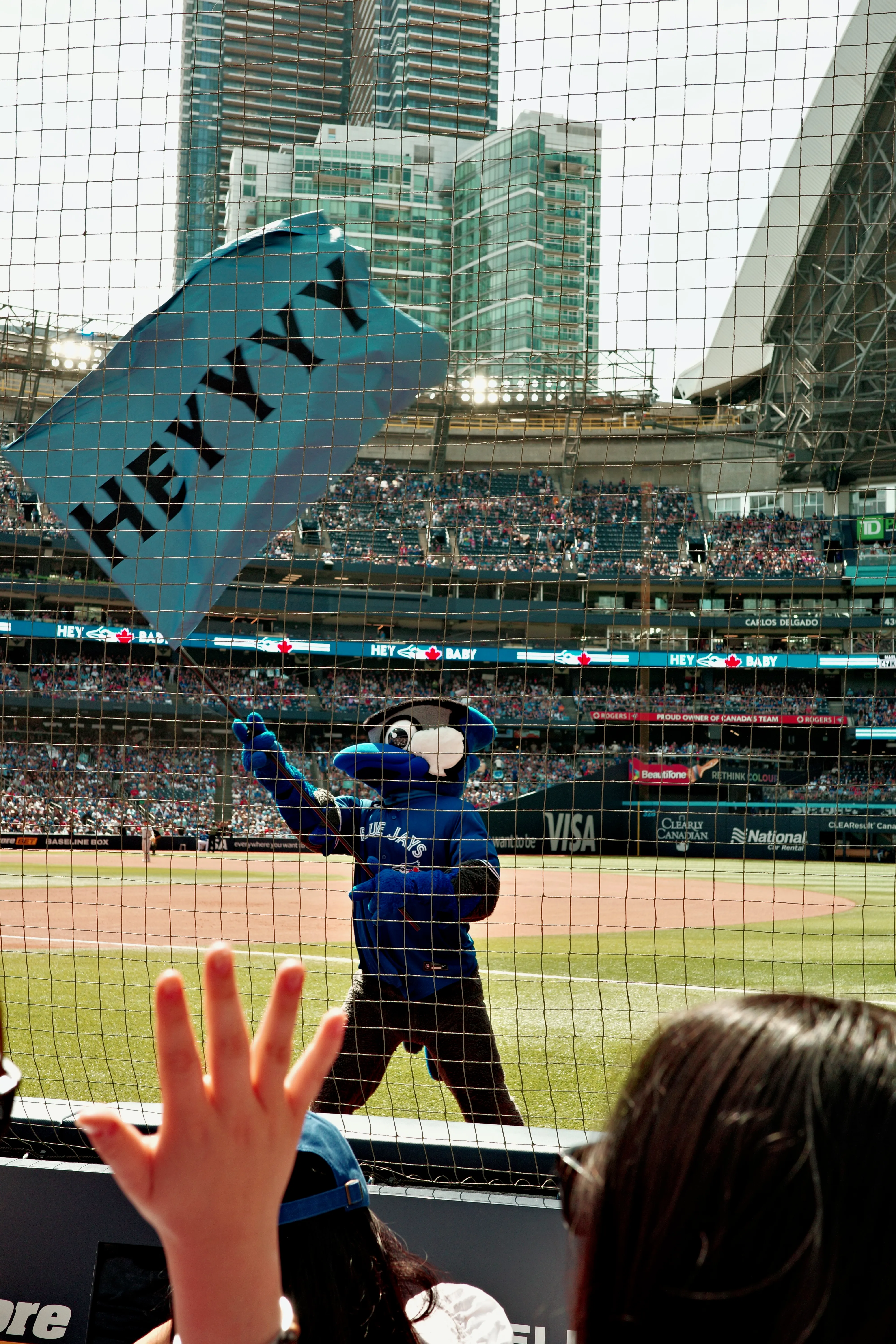 Photo of Blue Jays mascot waving a flag that says "Heyyyy"
